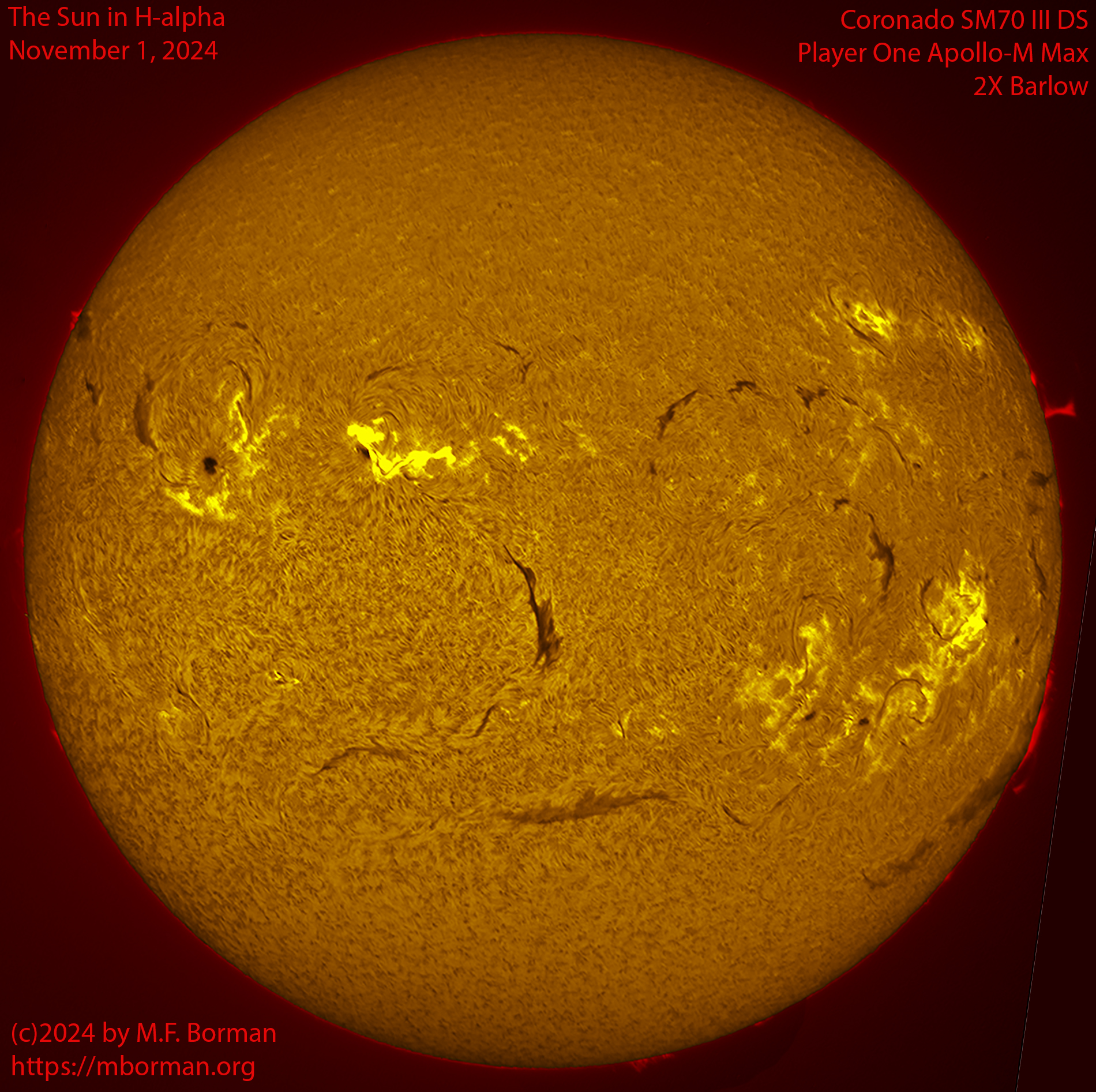 Solar image in h-alpha 11/01/24