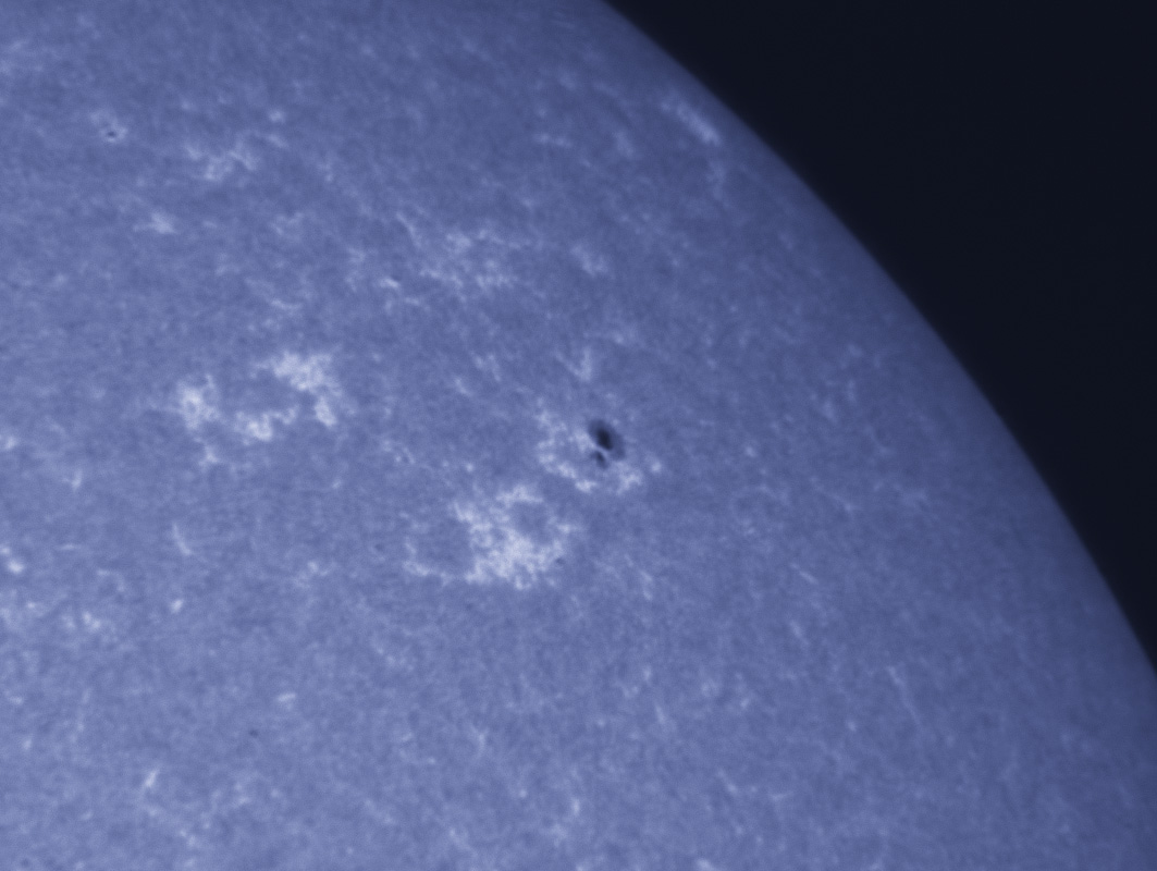 Sunspot 1335 in CaK 11/05/2011