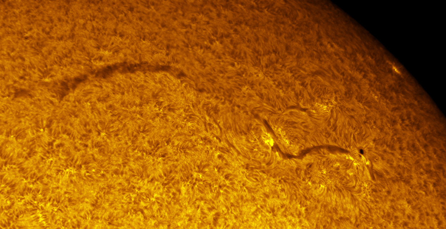 Sunspot 1335 in h-alpha 11/05/2011