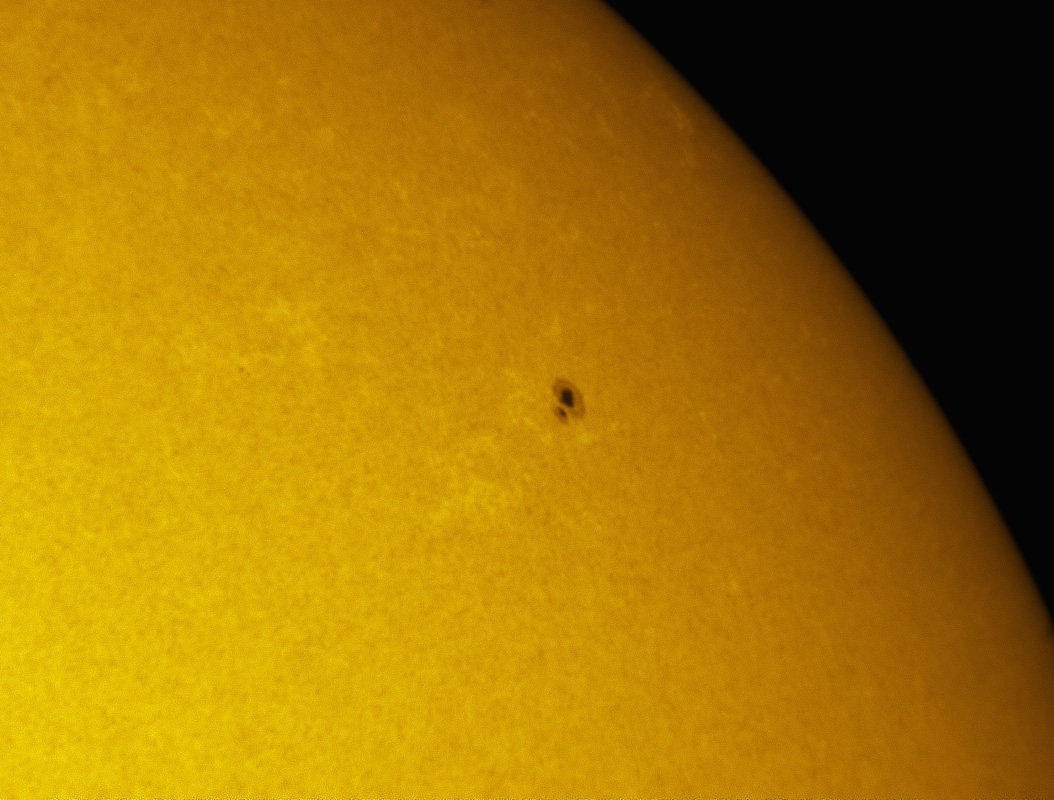 Sunspot 1335 in white light 11/05/2011