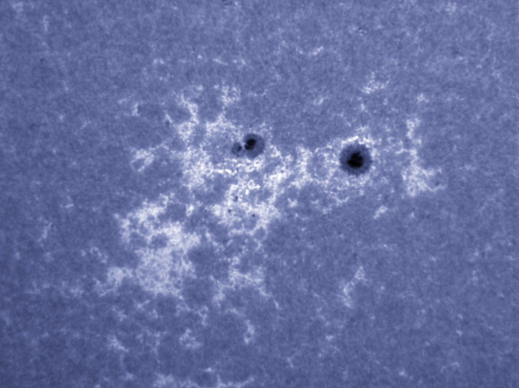 Sunspot 1338 in CaK 11/05/2011