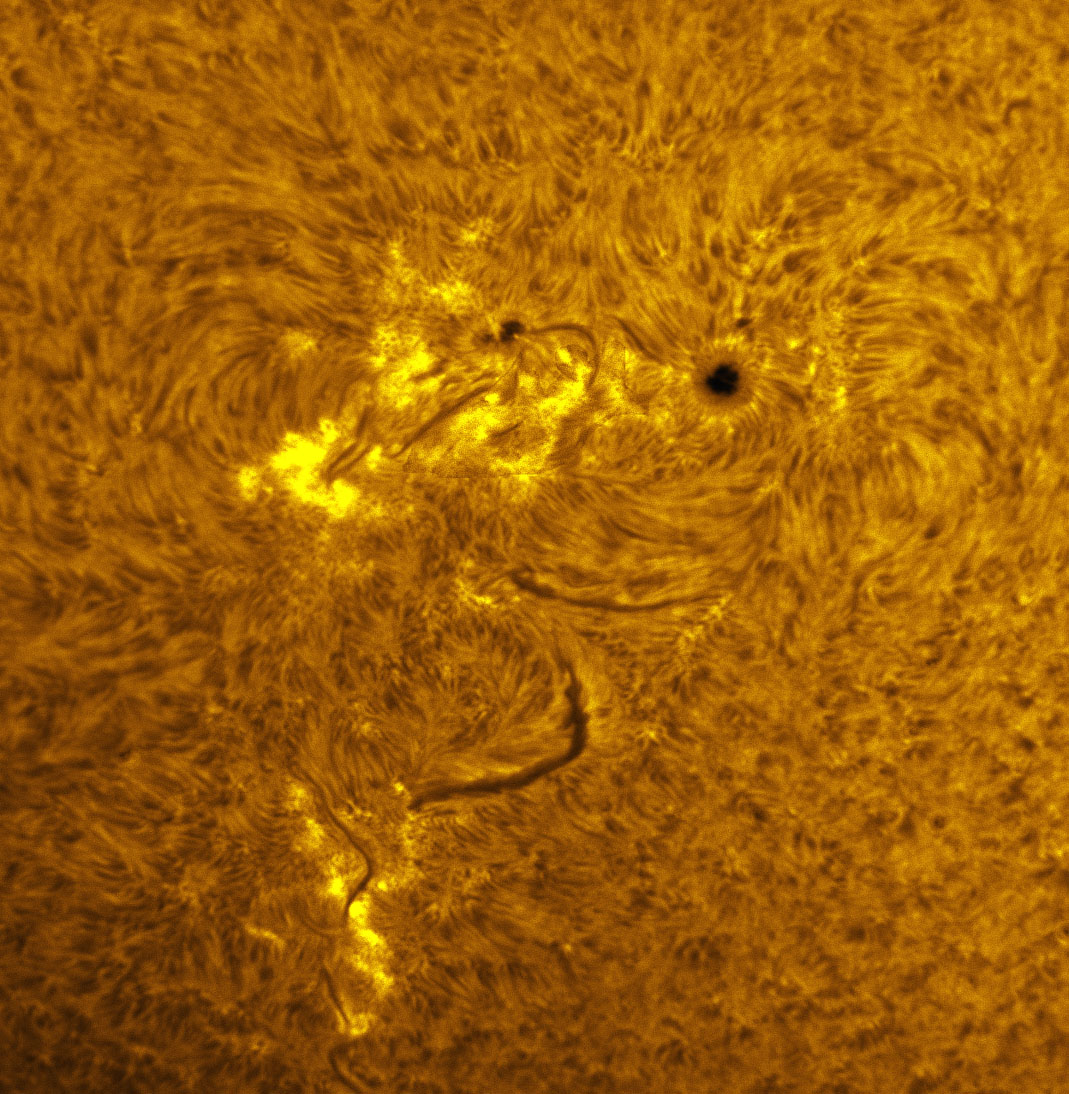 Sunspot 1338 in h-alpha 11/05/2011