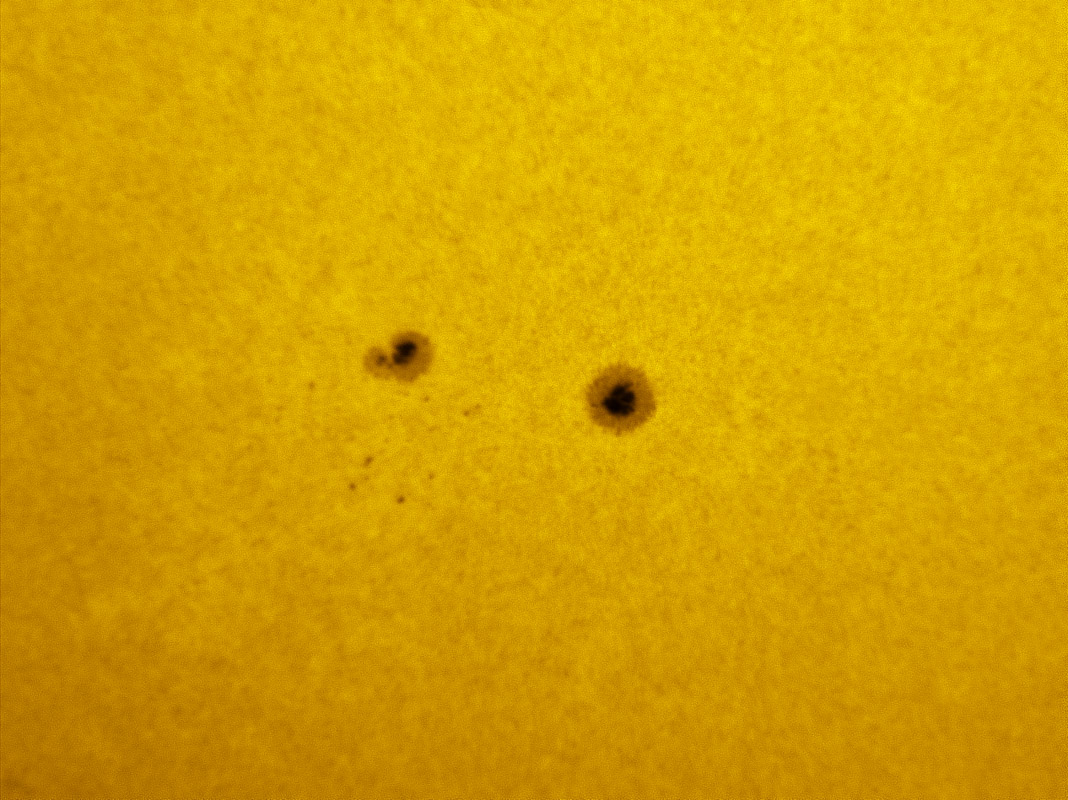 Sunspot 1338 in white light 11/05/2011
