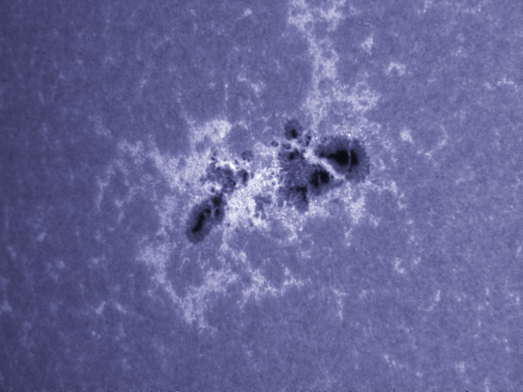 Sunspot 1339 in CaK 11/05/2011