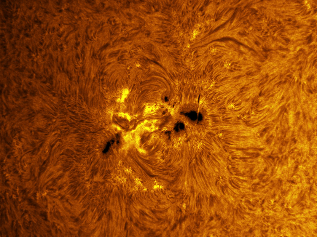 Sunspot 1339 in h-alpha 11/05/2011