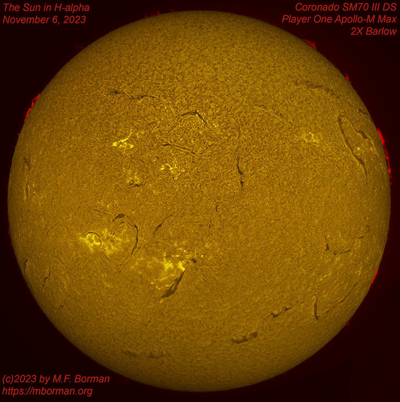 Solar image in h-alpha 11/06/2023