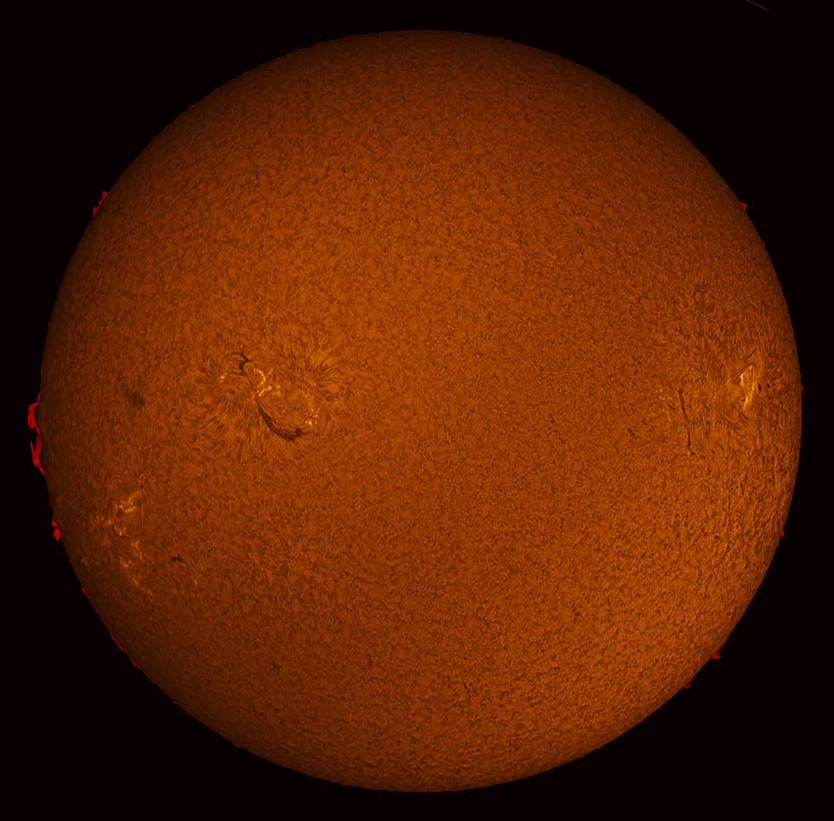 Solar Disk in h-alpha 11/08/2015