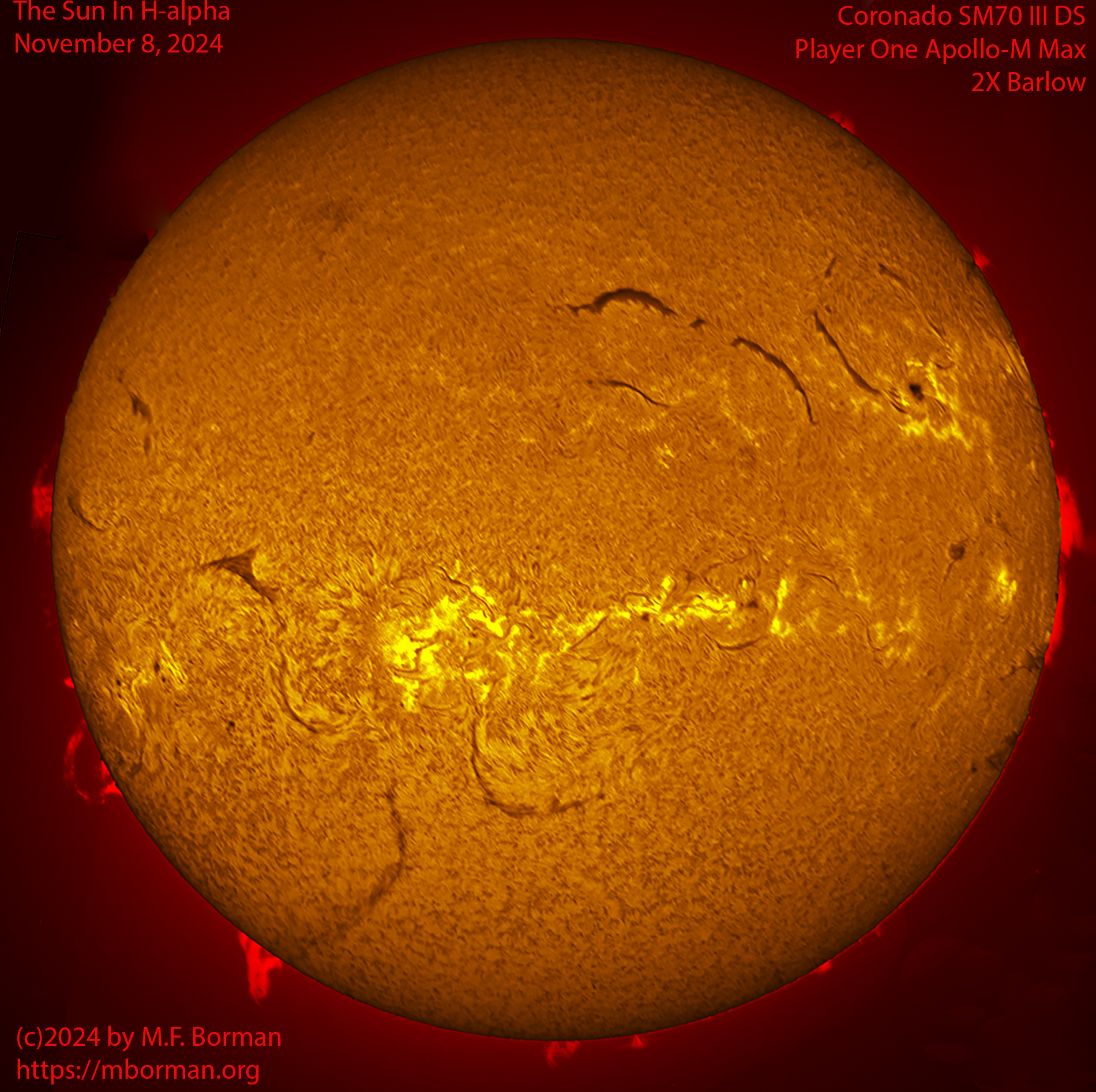 Solar image in h-alpha 11/08/24