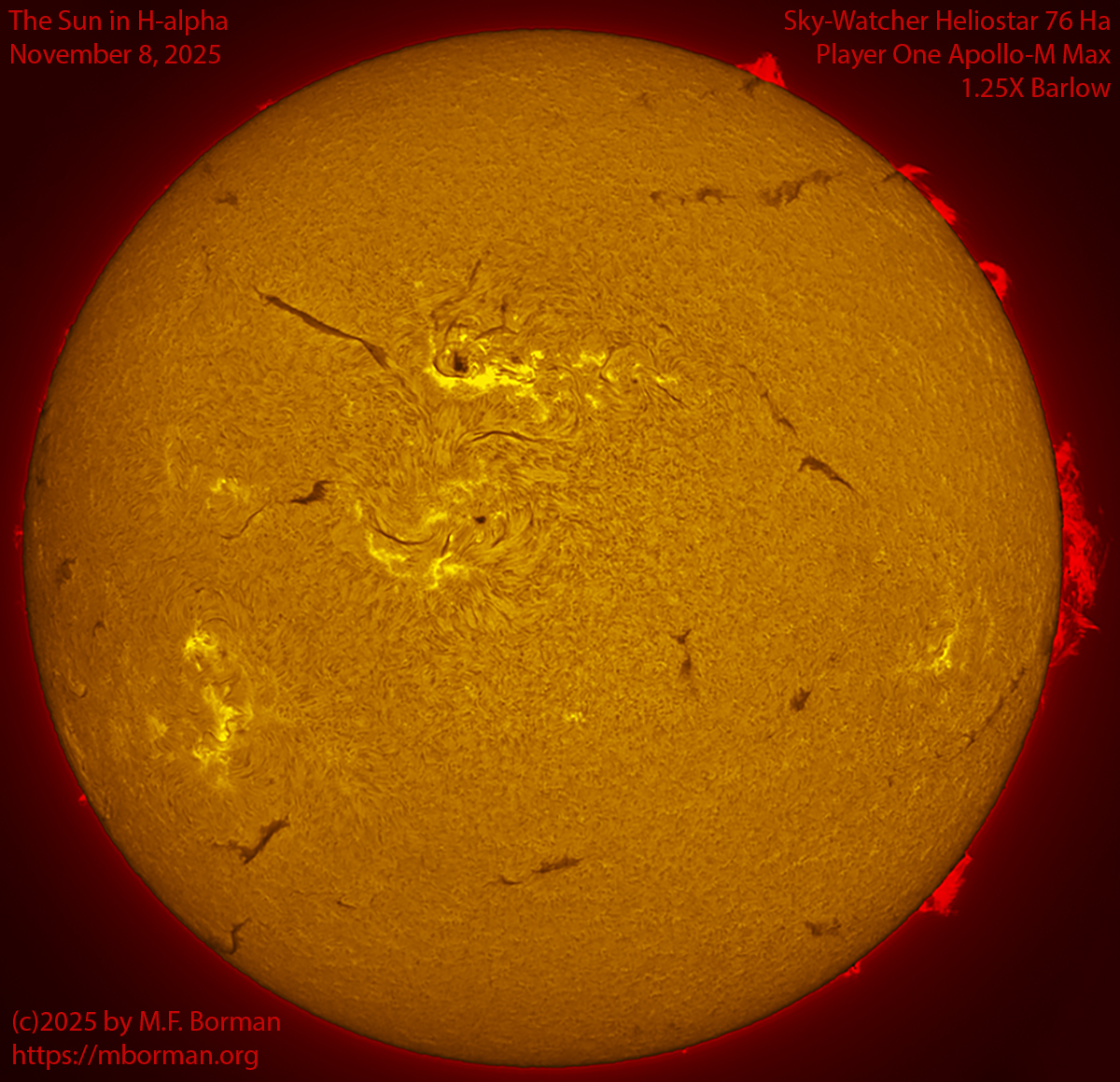 Solar image in h-alpha 11/08/25