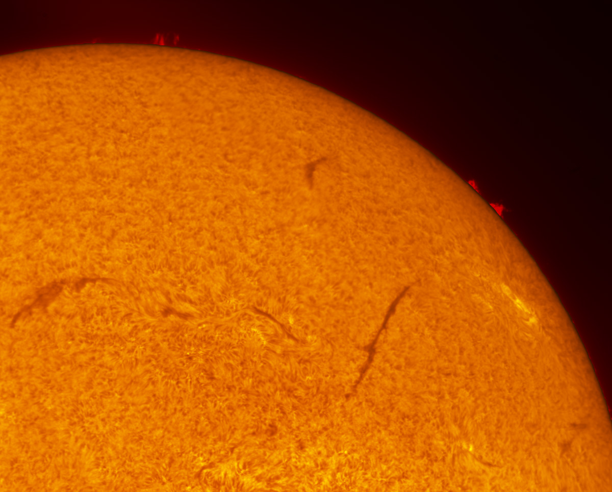 Solar filaments in h-alpha 11/09/2013