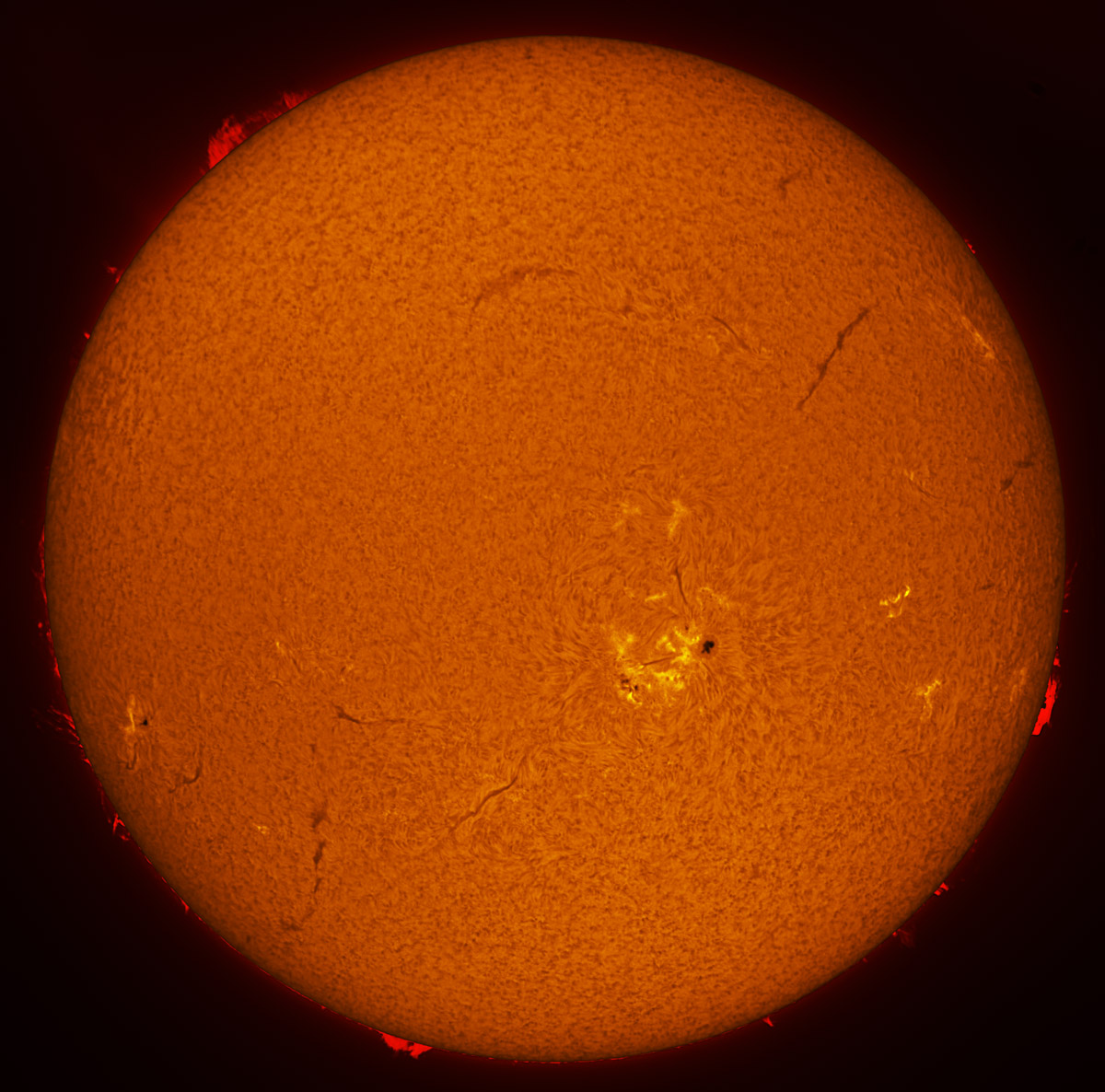 Solar Disk in h-alpha 11/09/2013