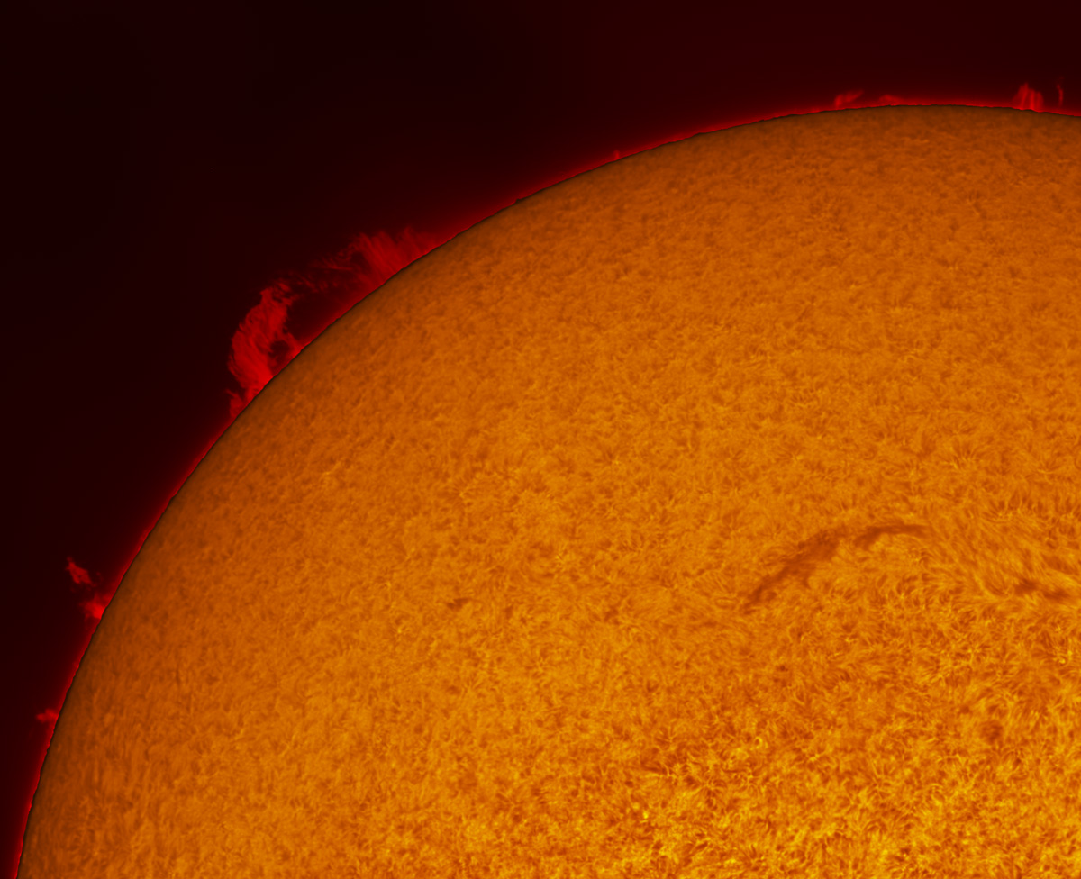 Solar prominences in h-alpha 11/09/2013