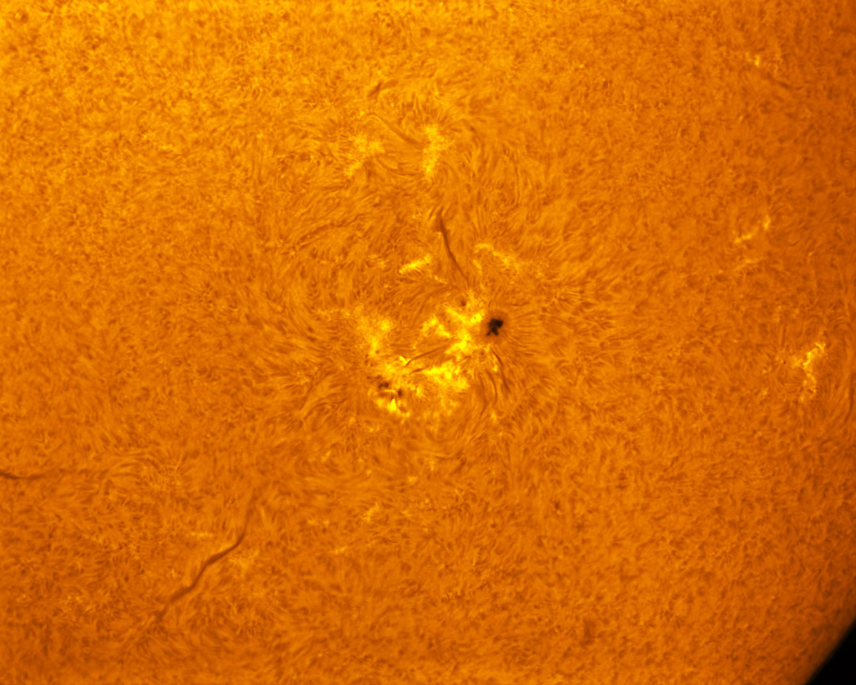 Sunspot 1890 in h-alpha 11/09/2013
