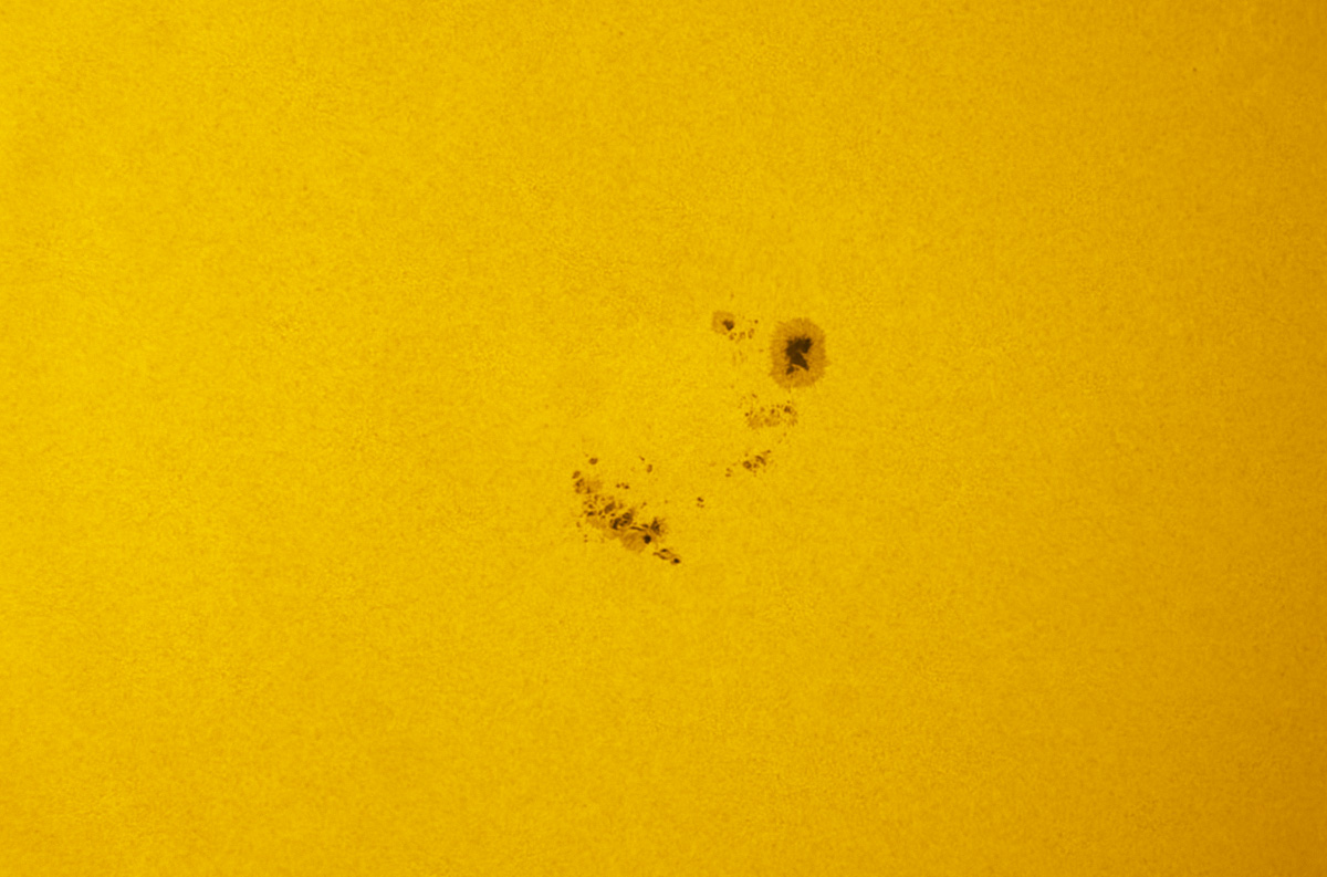 Sunspot 1890 in white light 11/09/2013