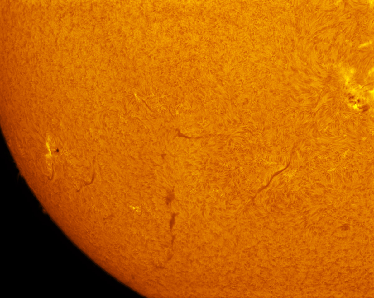Sunspot 1893 in h-alpha 11/09/2013