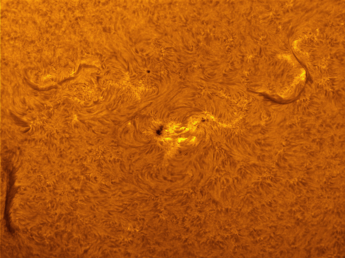 Sunspot 1610 in h-alpha 11/10/2012