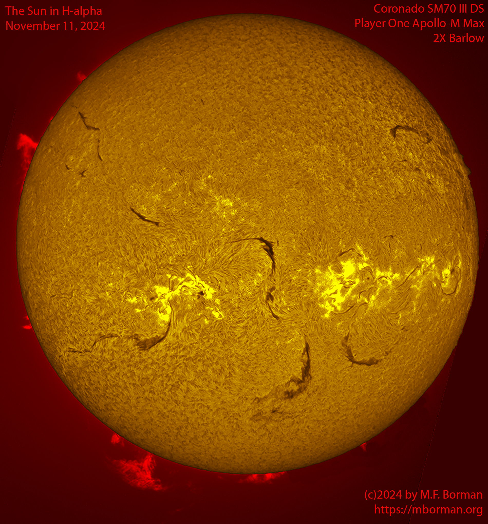 Solar image in h-alpha 11/11/24
