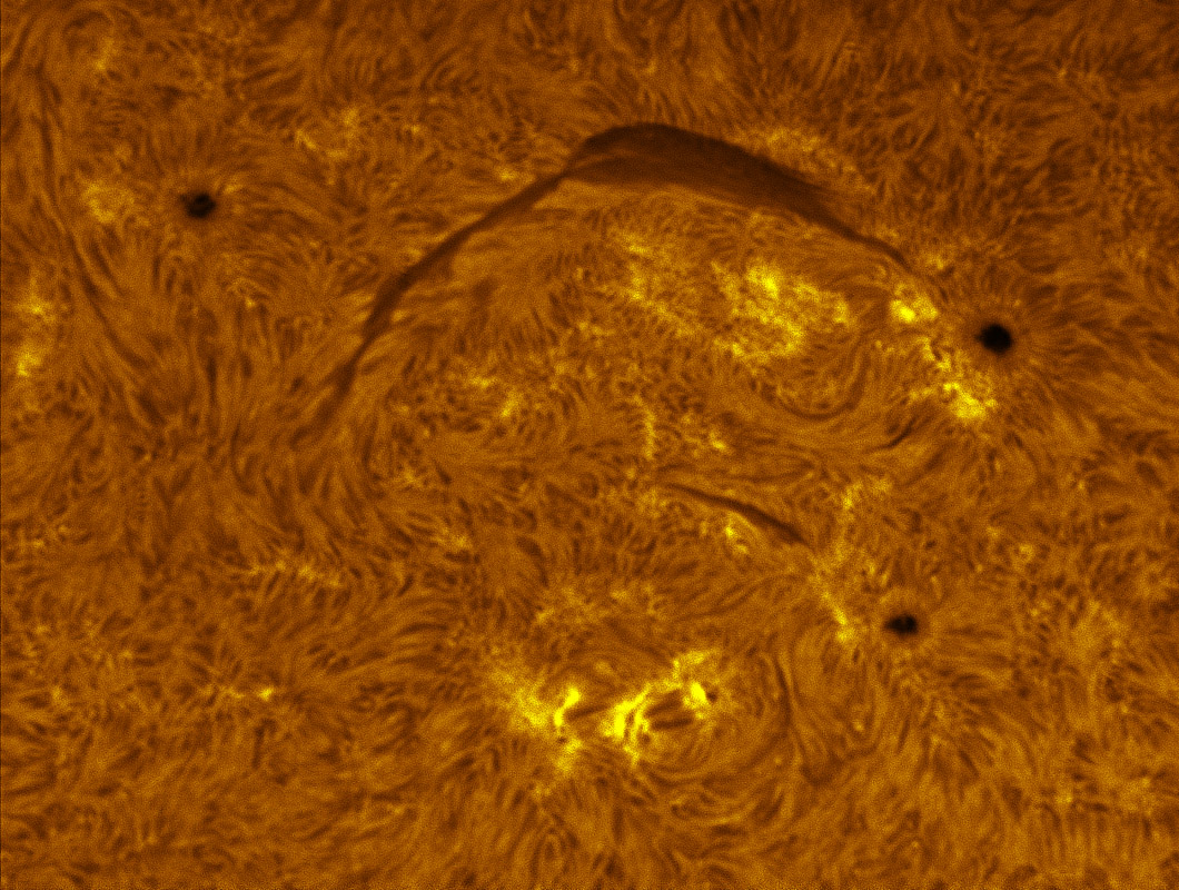 Sunspots 1341, 1342, and 1343 in h-alpha 11/13/2011