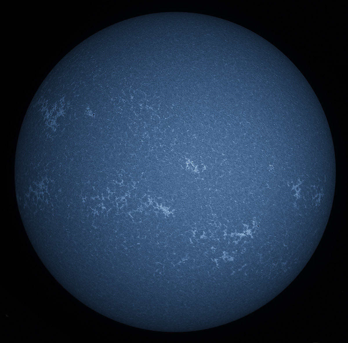 Solar Disk in CaK 11/14/2015