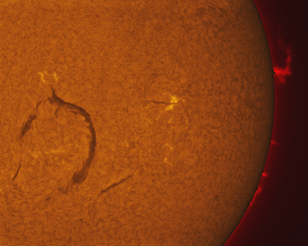 Giant filament and prominences in h-alpha 11/14/2015