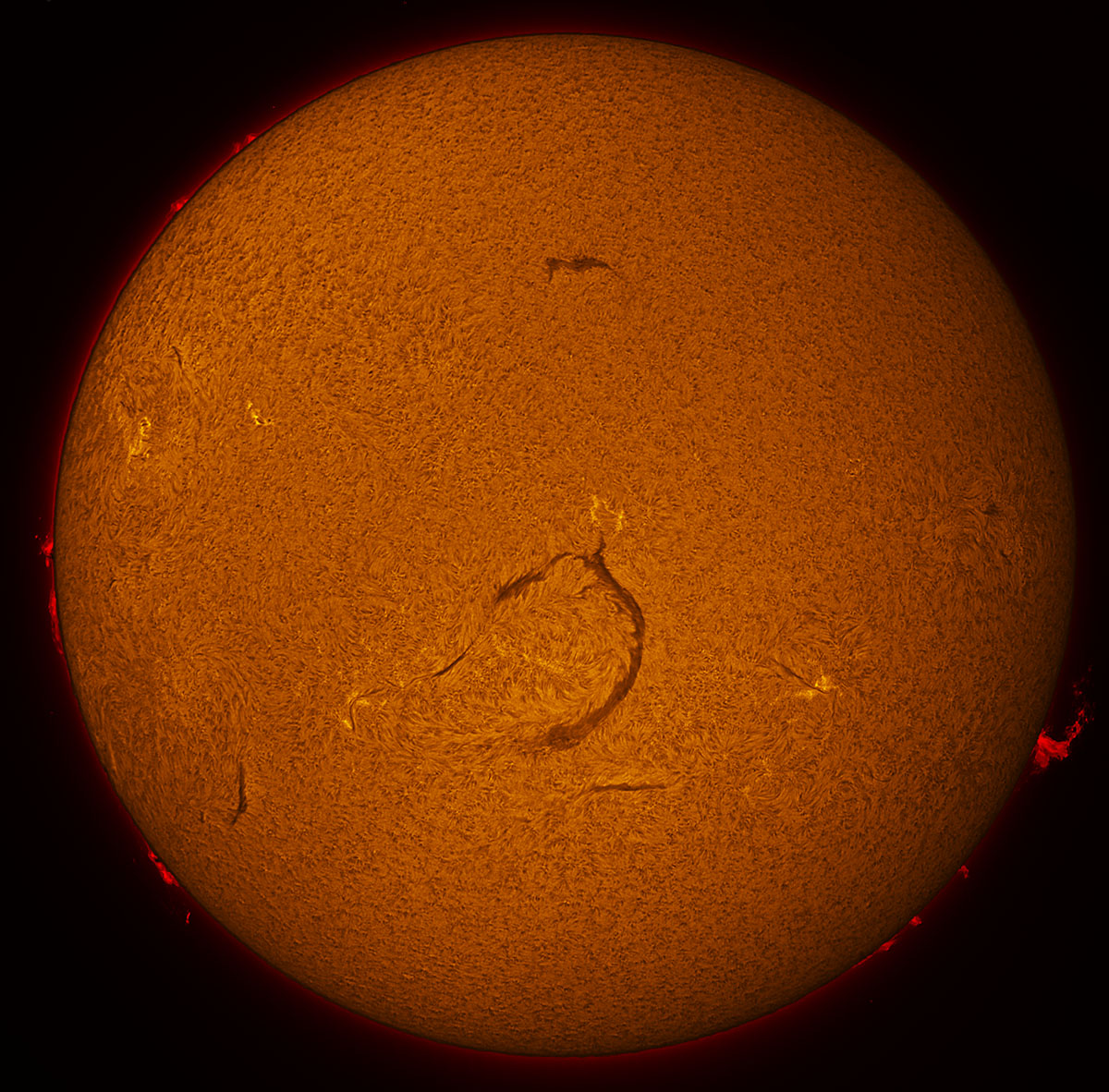 Solar Disk in h-alpha 11/14/2015