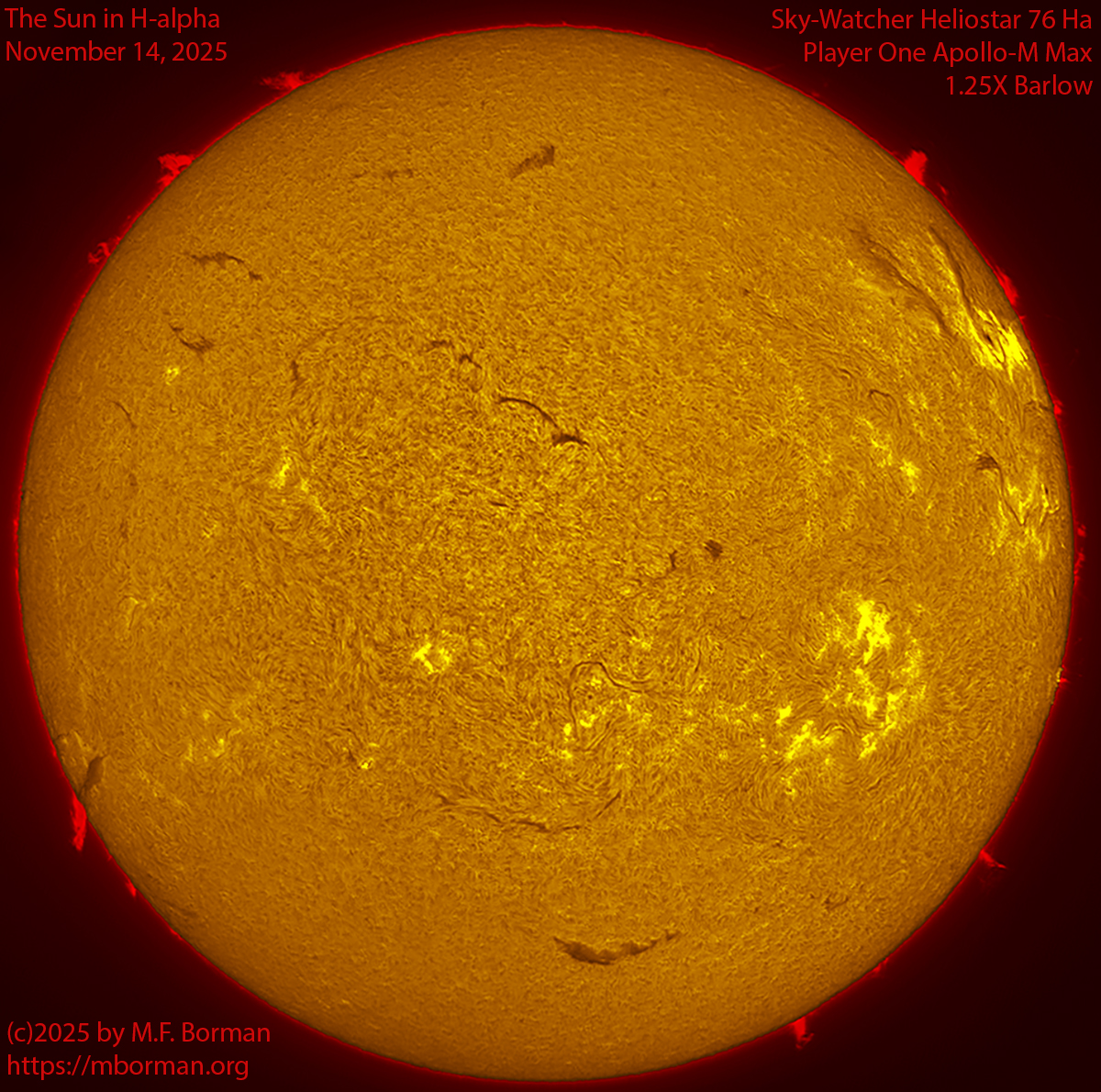 Solar image in h-alpha 11/14/25