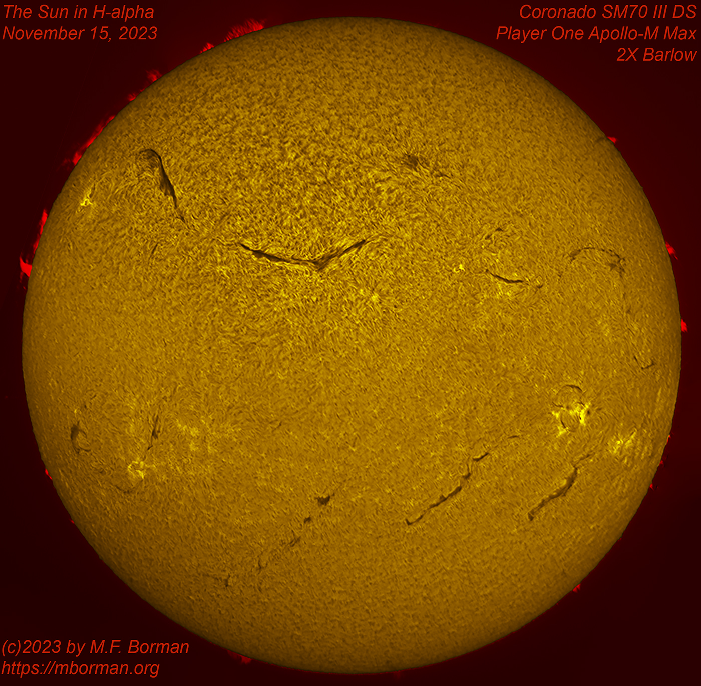 Solar image in h-alpha 11/15/2023