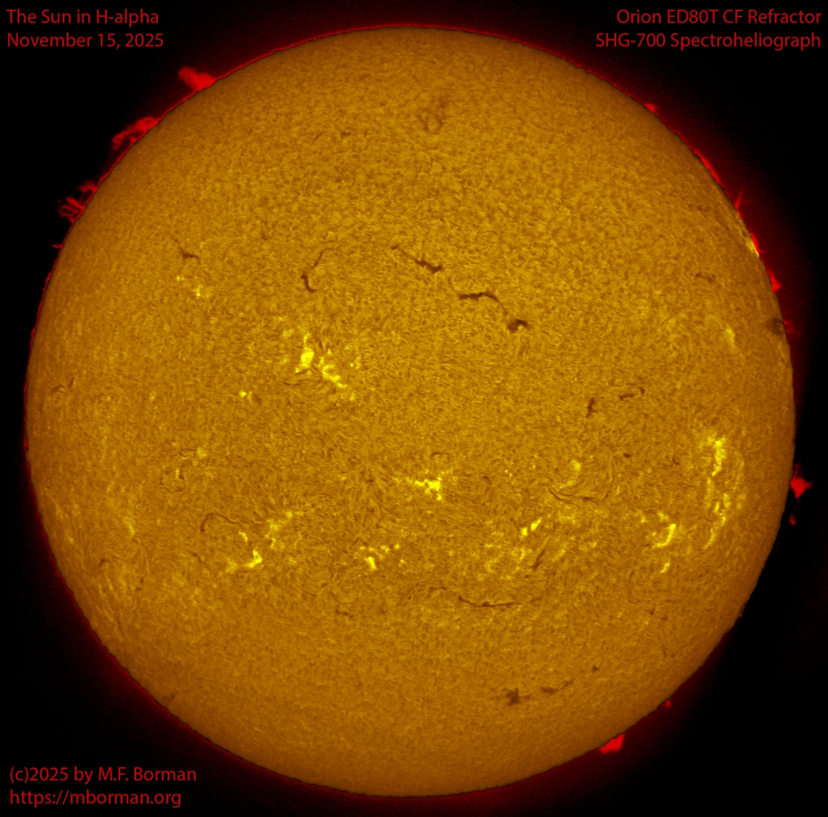 Solar image in h-alpha 11/15/25