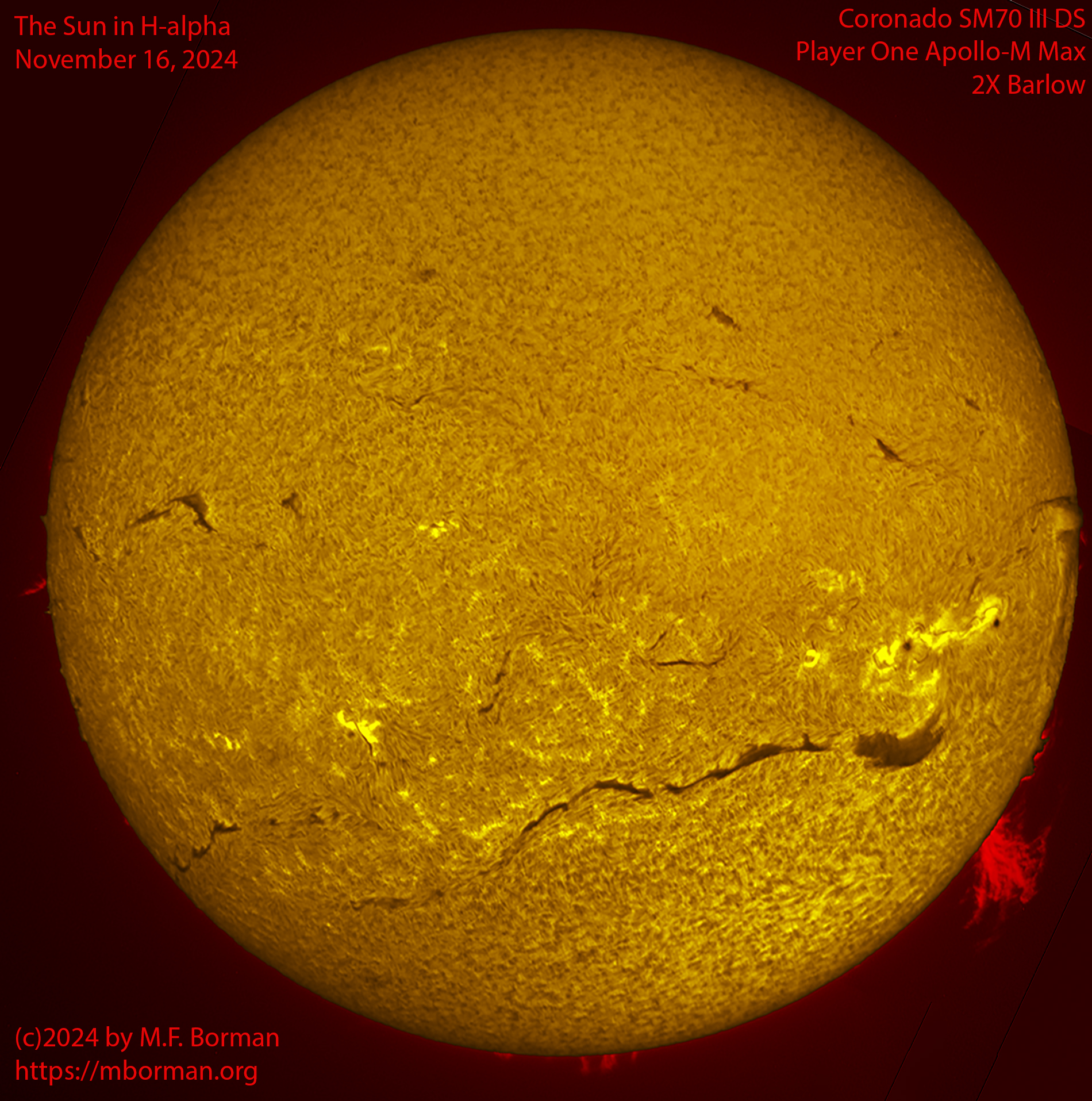 Solar image in h-alpha 11/16/24