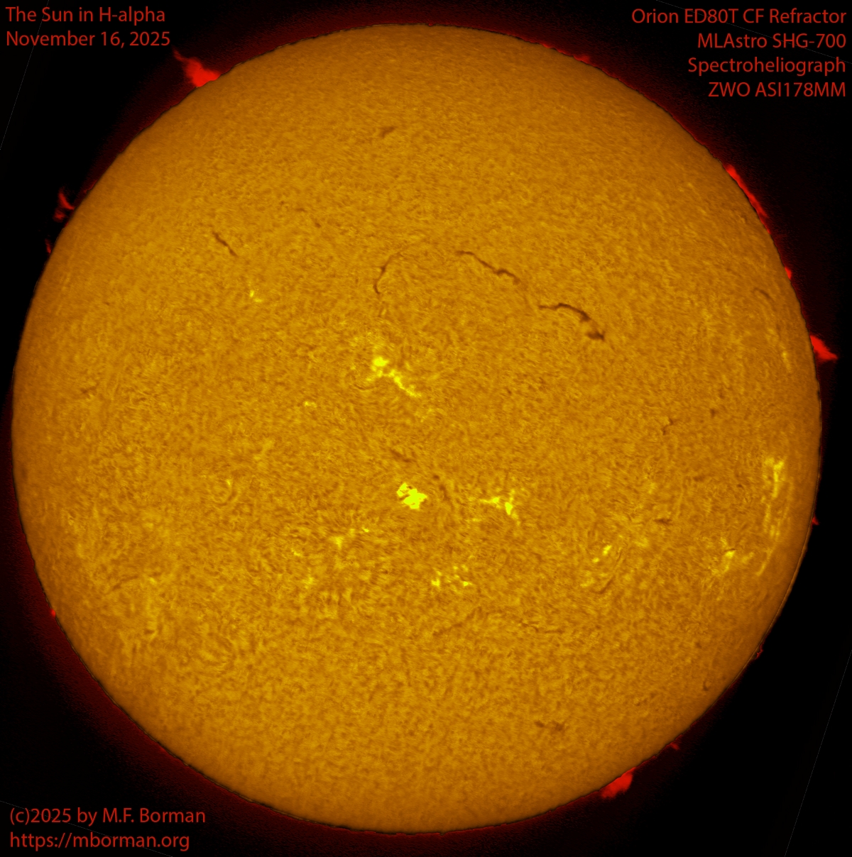 Solar image in h-alpha 11/16/25