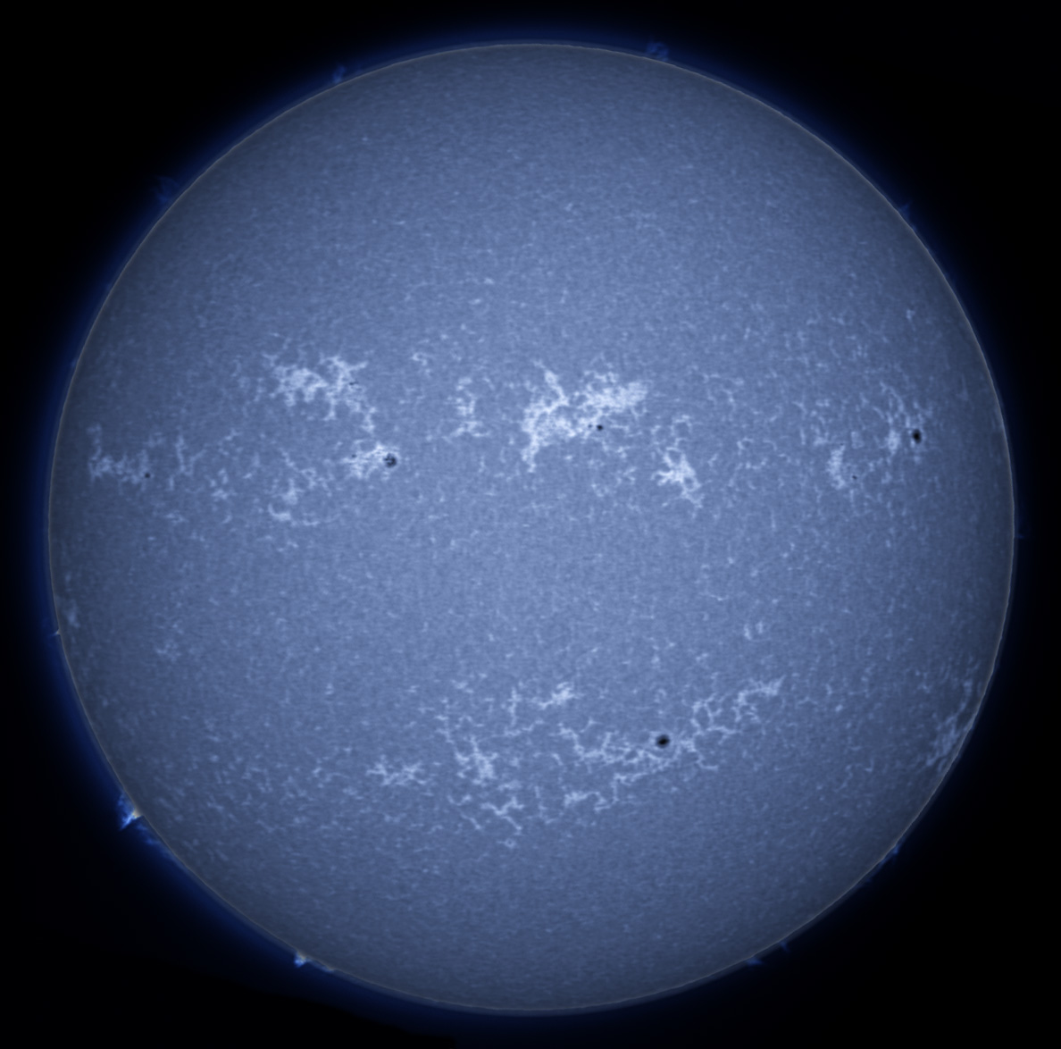 Solar Disk in CaK 11/17/2012