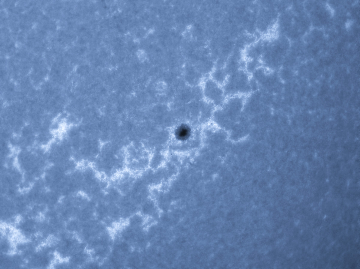 Sunspot 1613 in CaK 11/17/2012