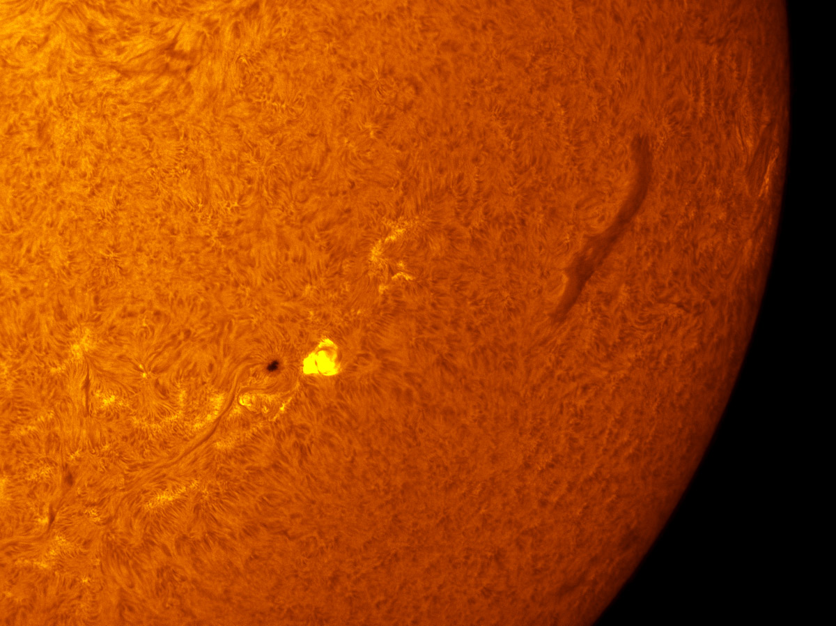 Sunspot 1613 in h-alpha 11/17/2012