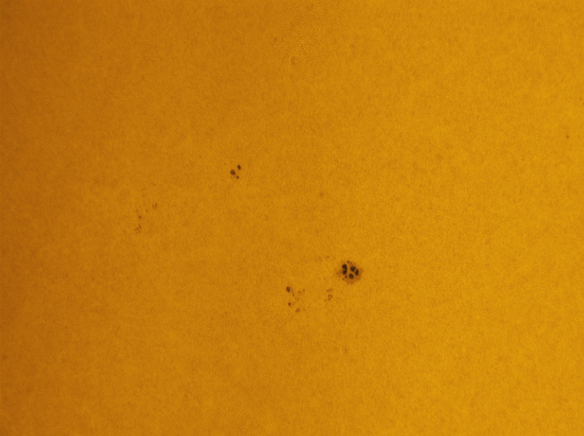 Sunspots 1616 and 1619 in white light 11/17/2012