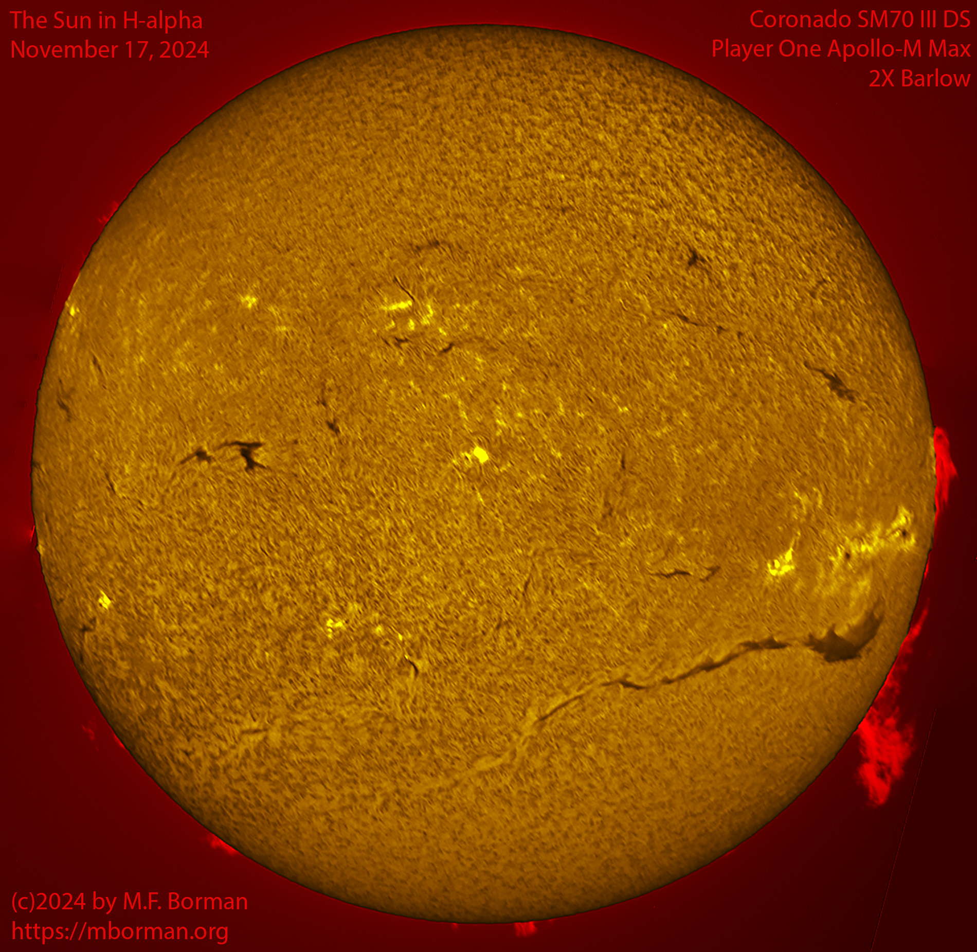 Solar image in h-alpha 11/17/24