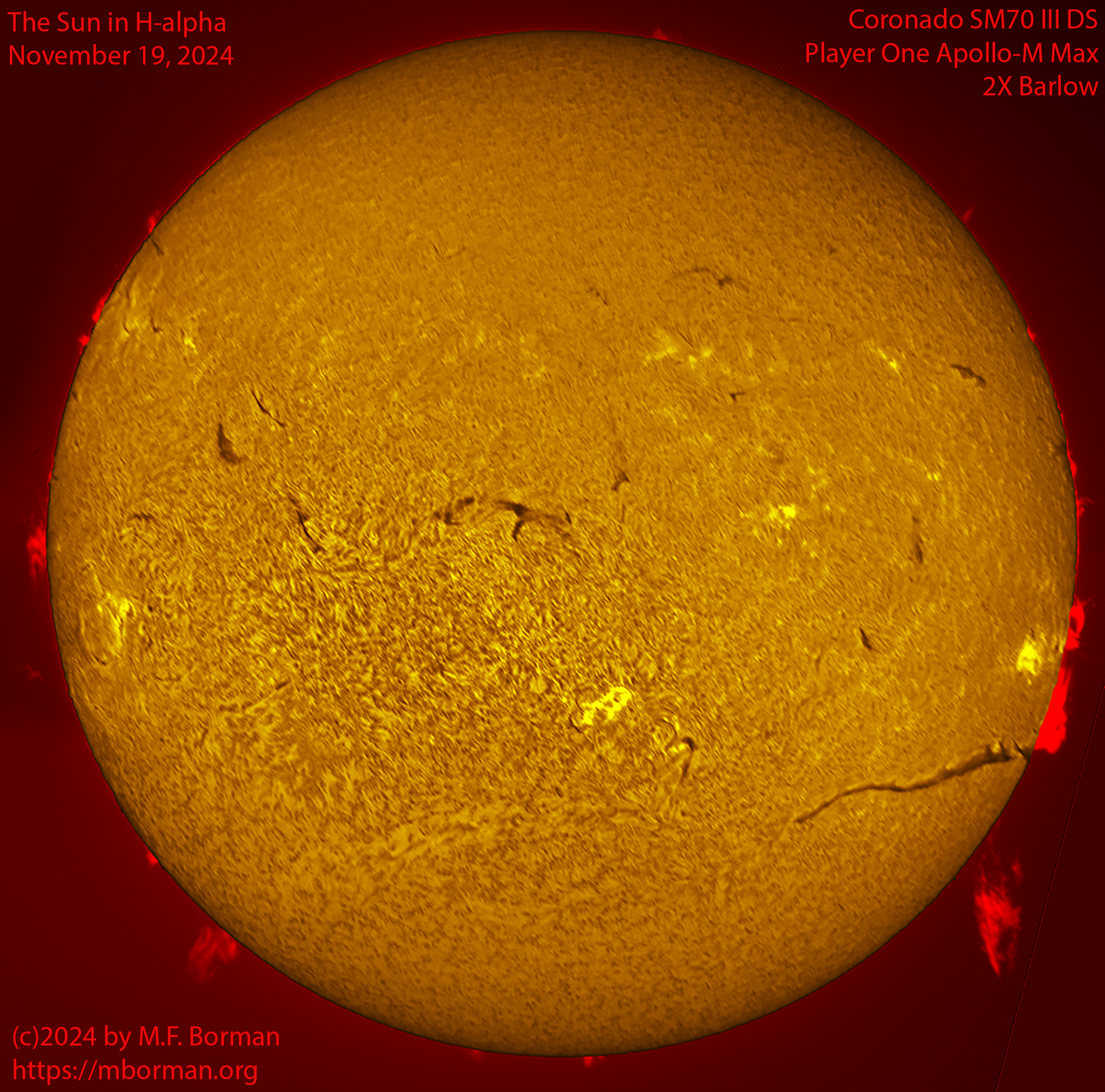 Solar image in h-alpha 11/19/24