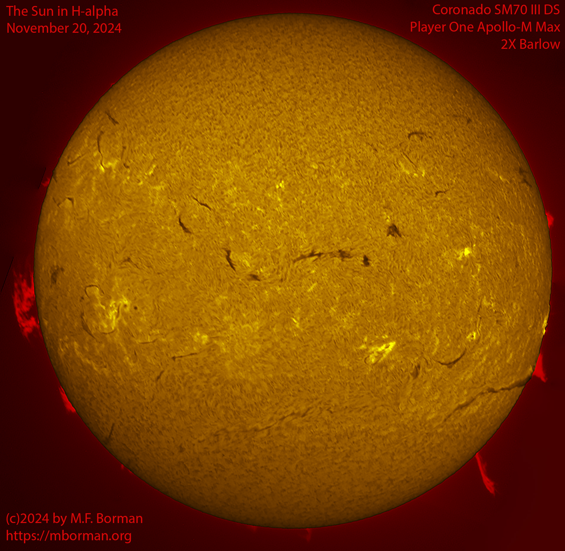 Solar image in h-alpha 11/20/24