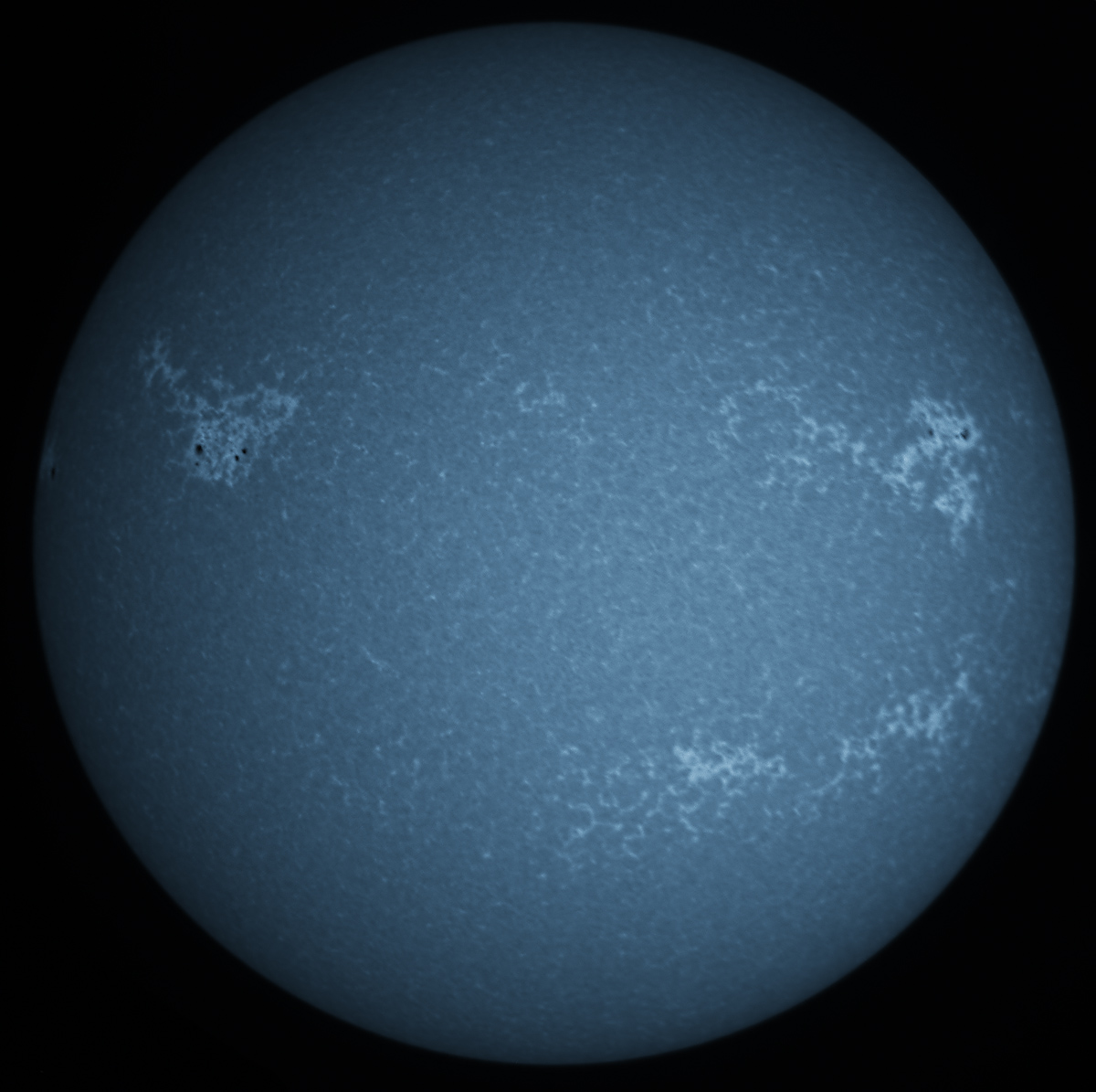 Solar Disk in CaK 11/22/2015