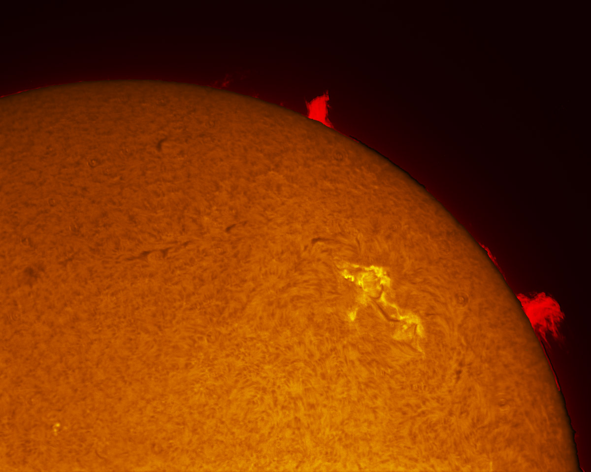 Sunspot 2456 in h-alpha 11/22/2015