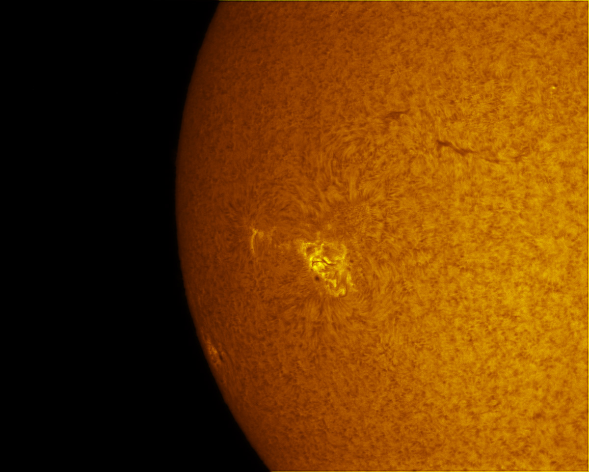 Sunspot 2457 in h-alpha 11/22/2015
