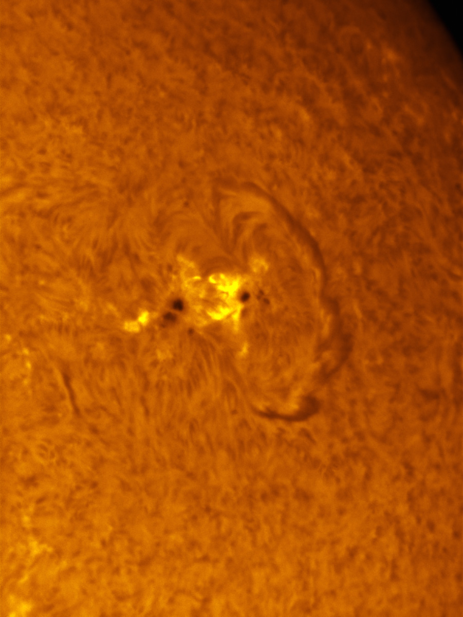 Sunspot 1618 in h-alpha 11/24/2012