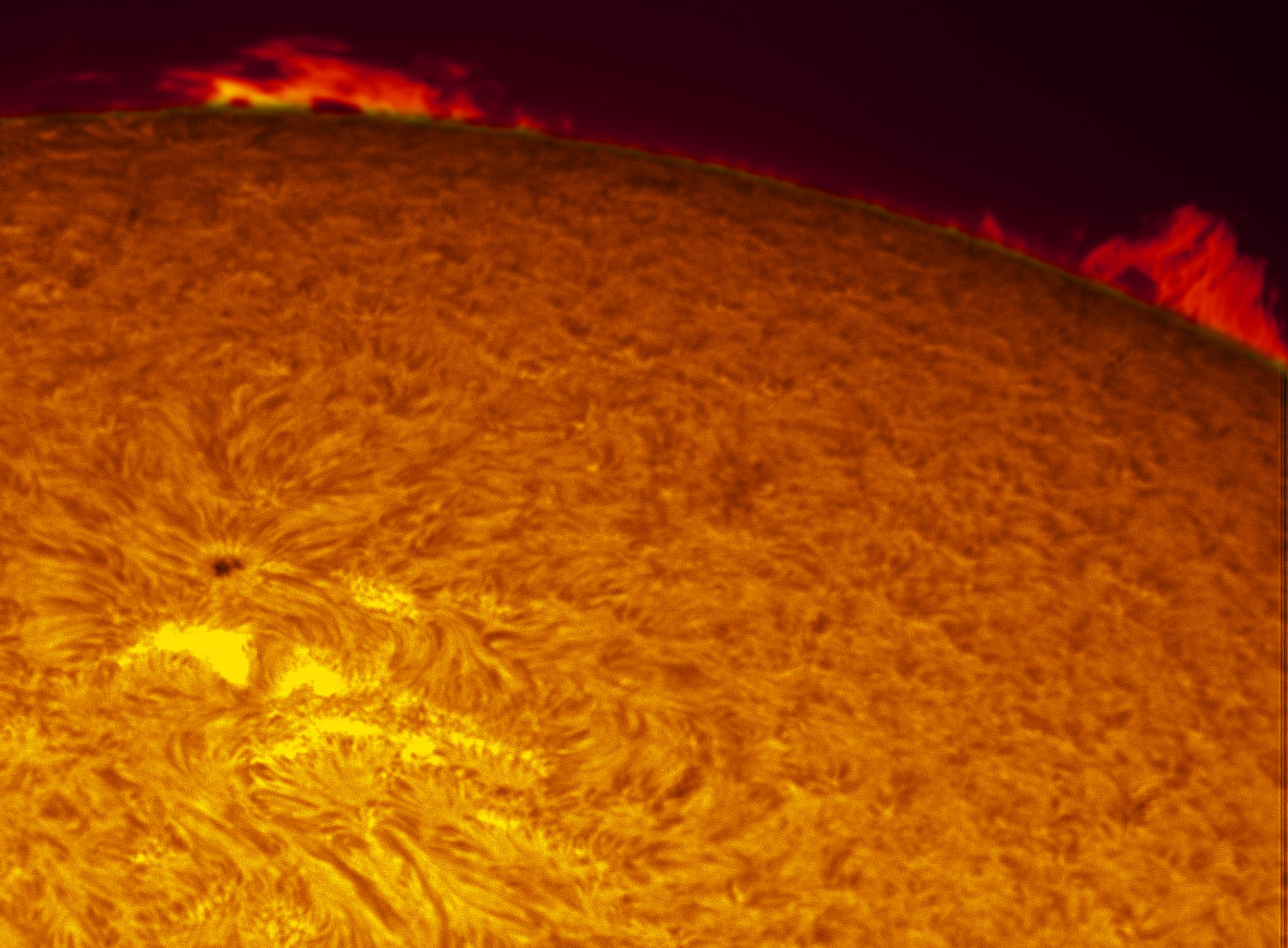 Prominences in h-alpha 11/25/11