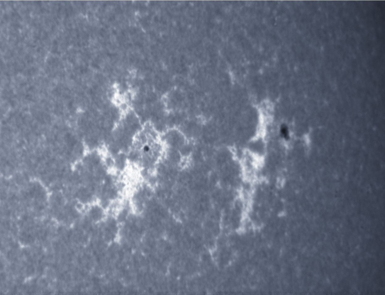 Sunspots 1352 and 1354 in CaK 11/25/2011