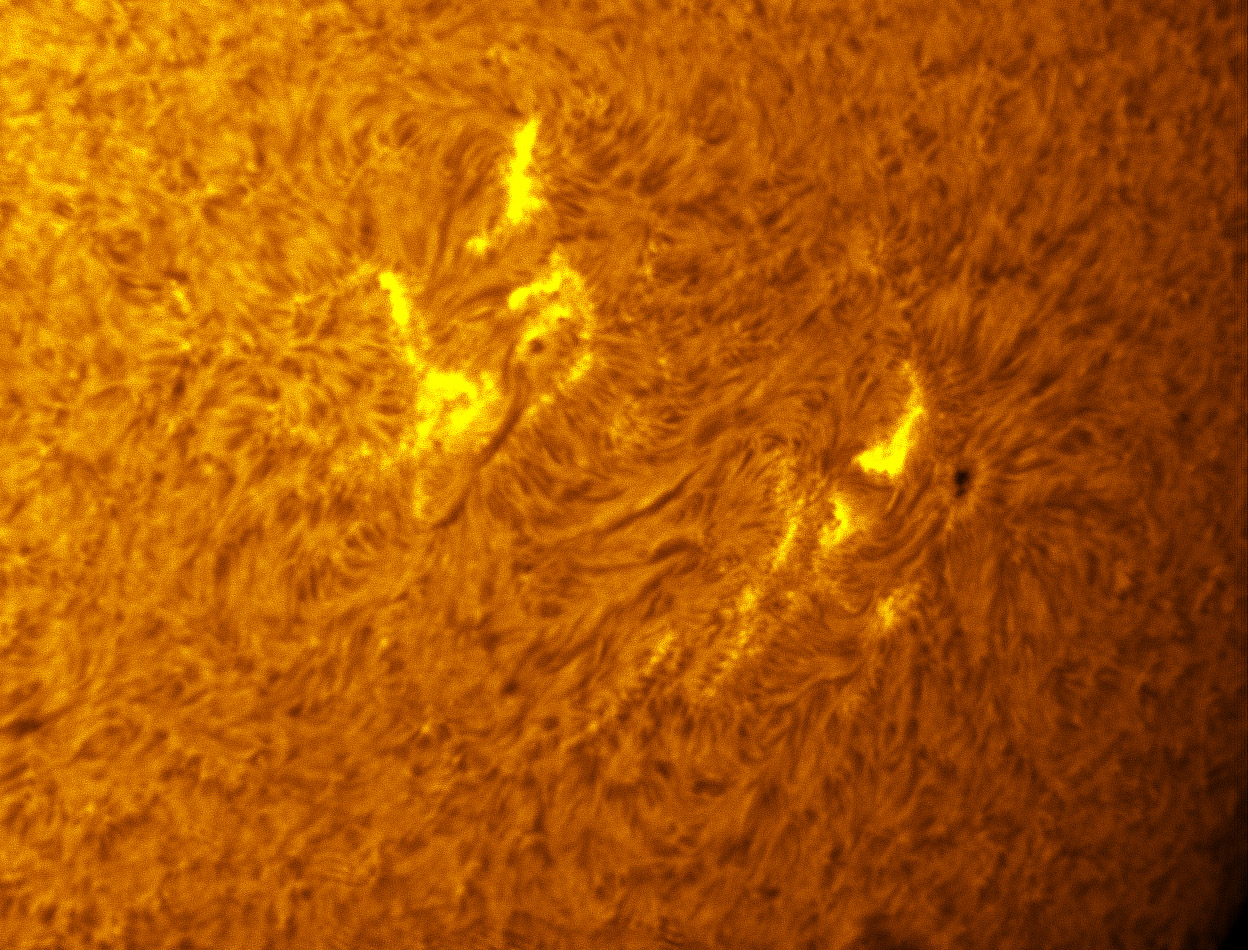 Sunspots 1352 and 1354 in h-alpha 11/25/2011
