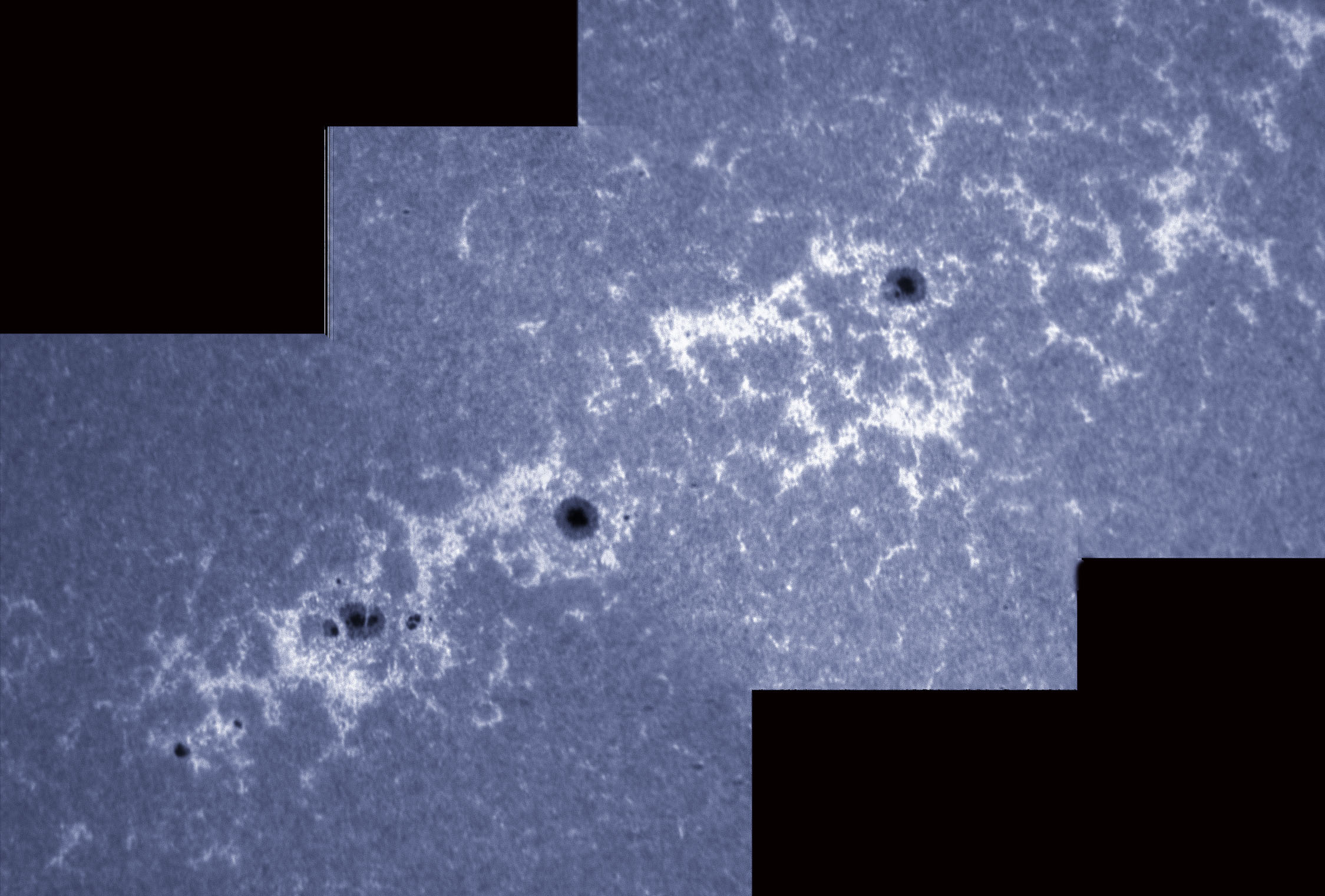 Sunspots 1353, 1355, and 1356 in CaK 11/25/2011