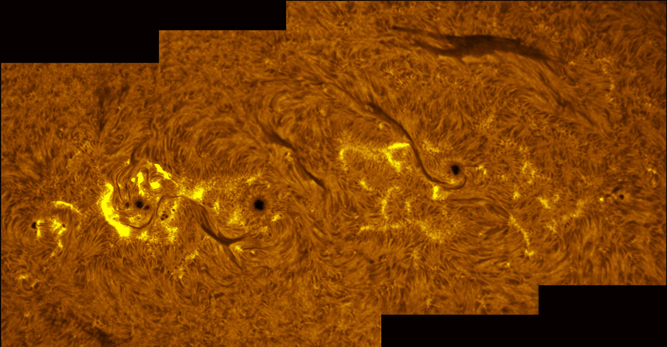 Sunspots 1353, 1355, and 1356 in h-alpha 11/25/2011