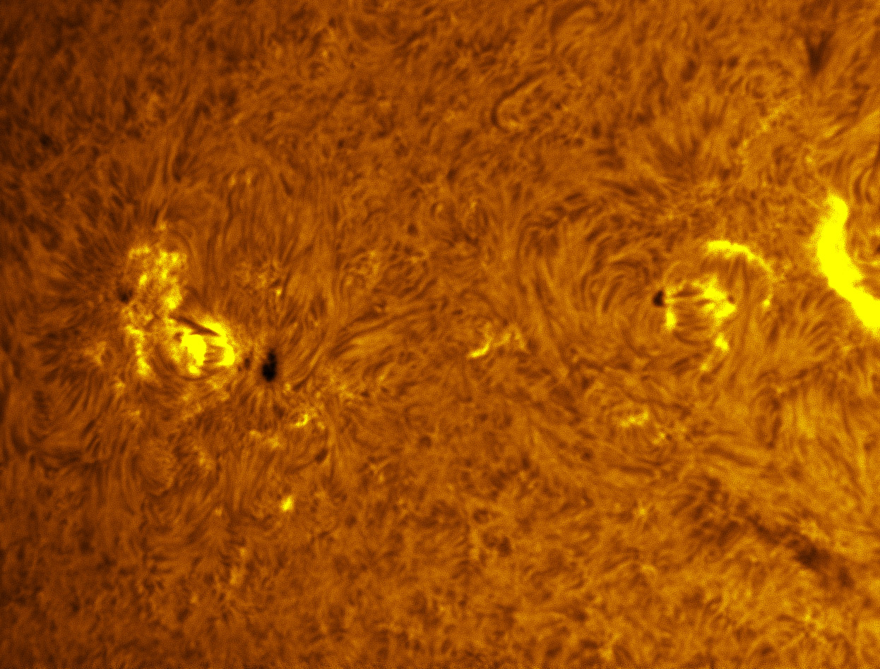 Sunspots 1356 and 1358 in h-alpha 11/25/2011