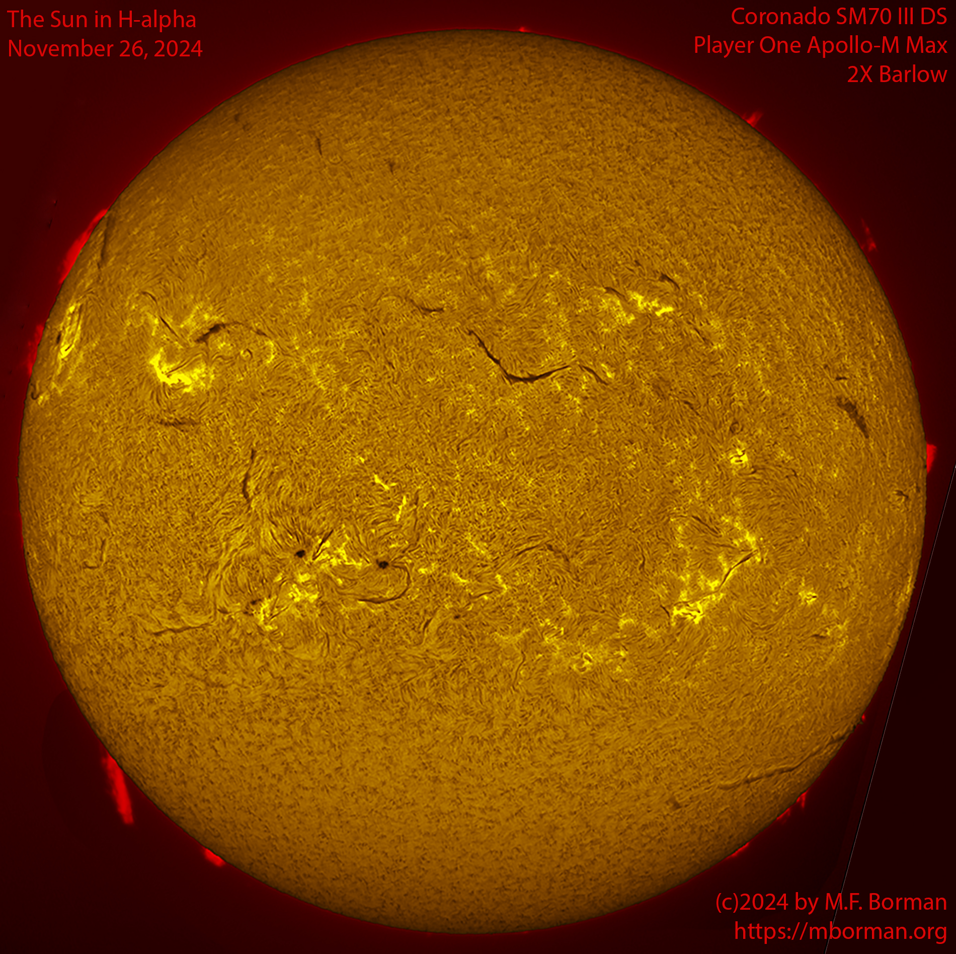 Solar image in h-alpha 11/26/24