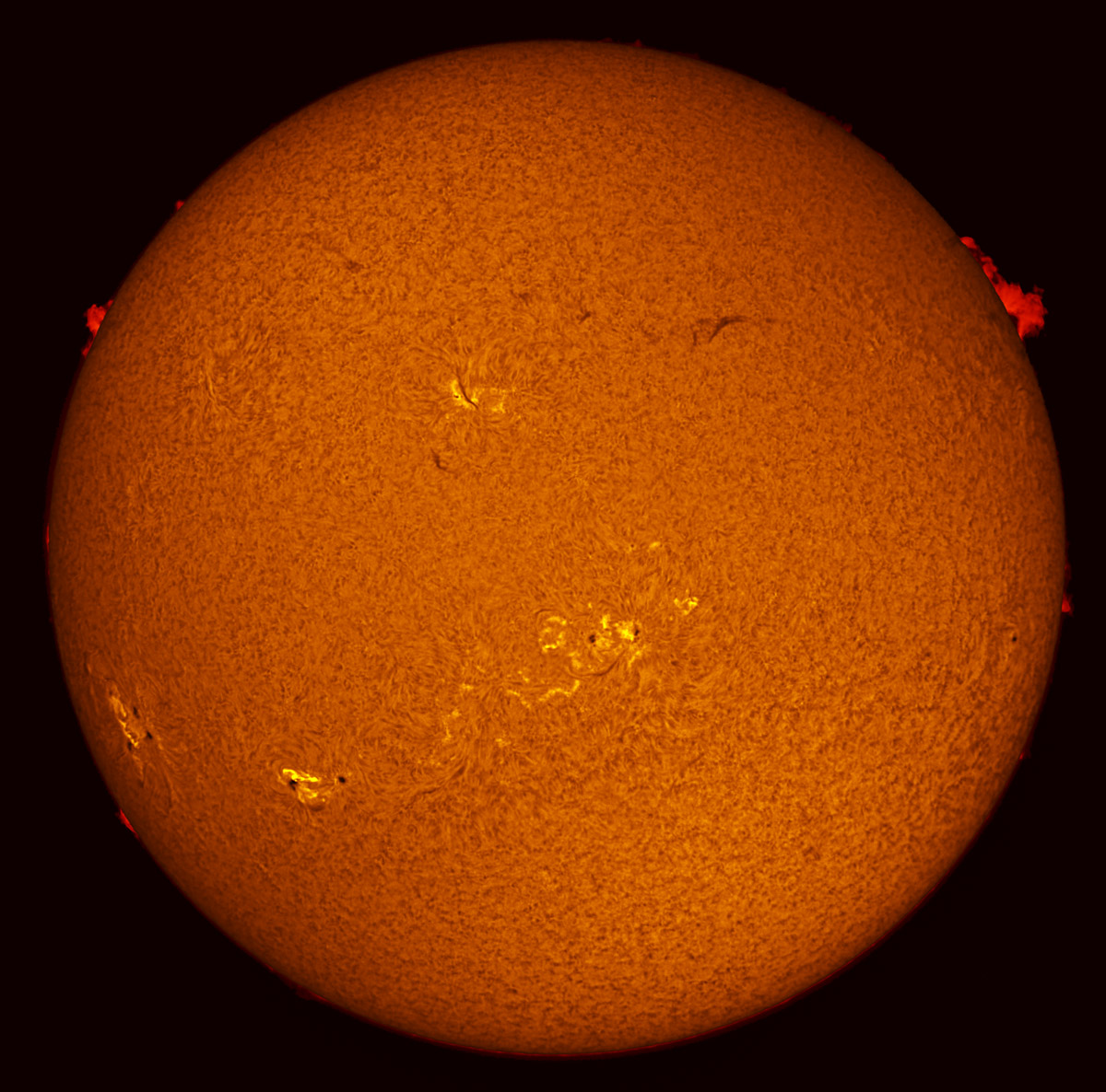 Solar Disk in h-alpha 11/28/2013