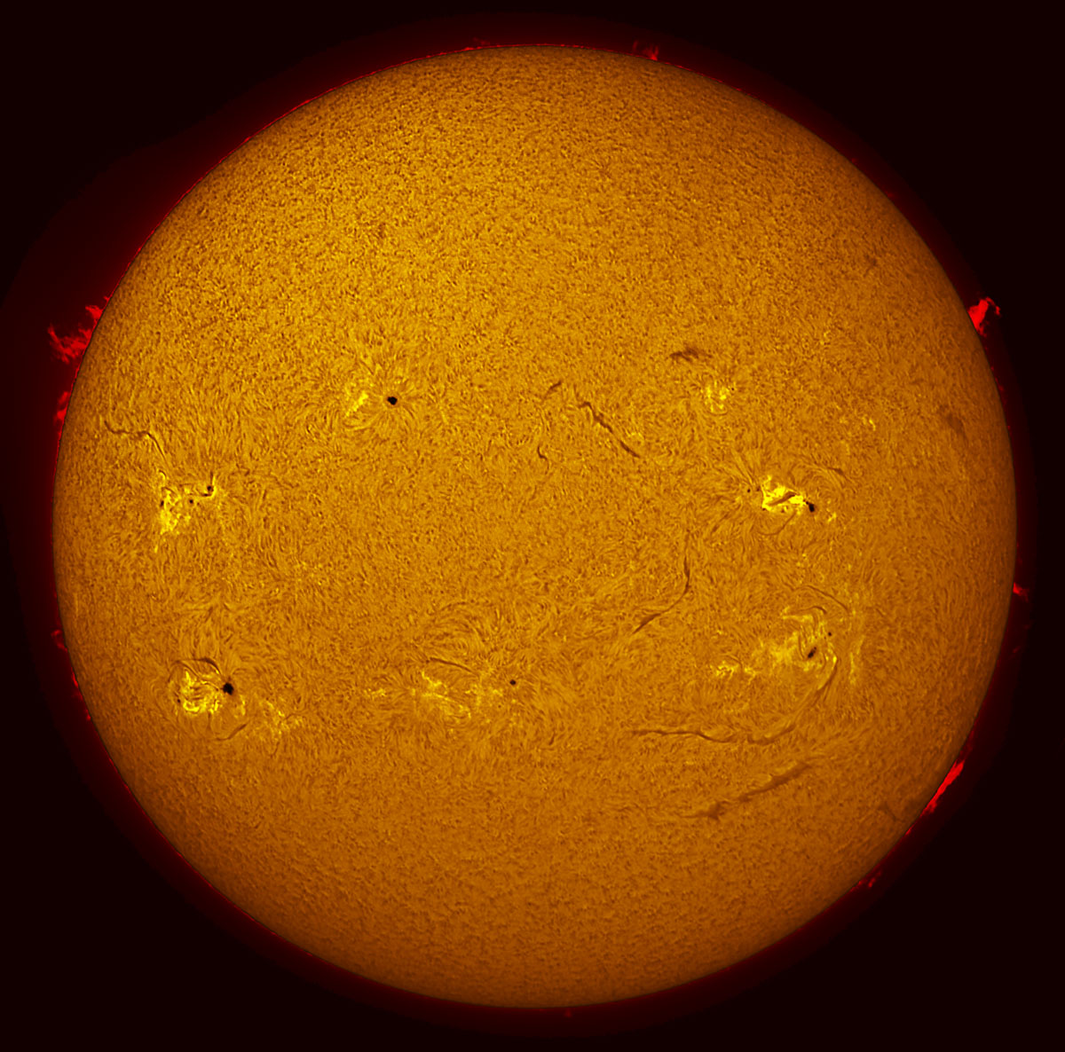 Solar Disk in h-alpha 11/28/2014